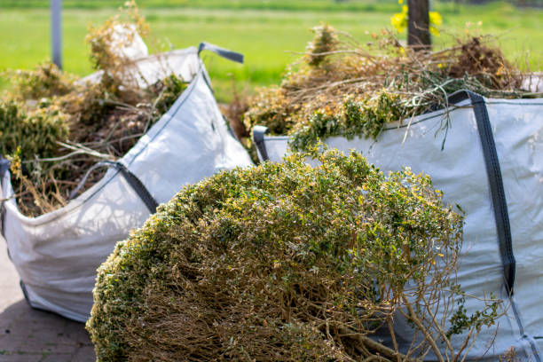 Best Shed Removal  in Nampa, ID